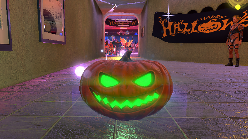 Look for pumpkins now!