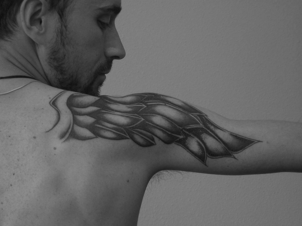 My wings