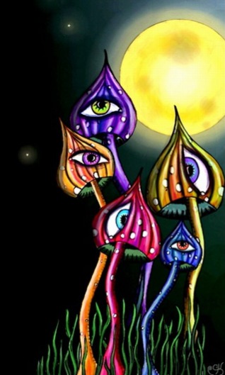 Lunacy