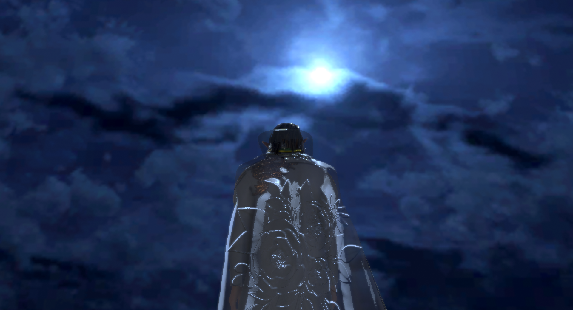 Moonlit Sonata
