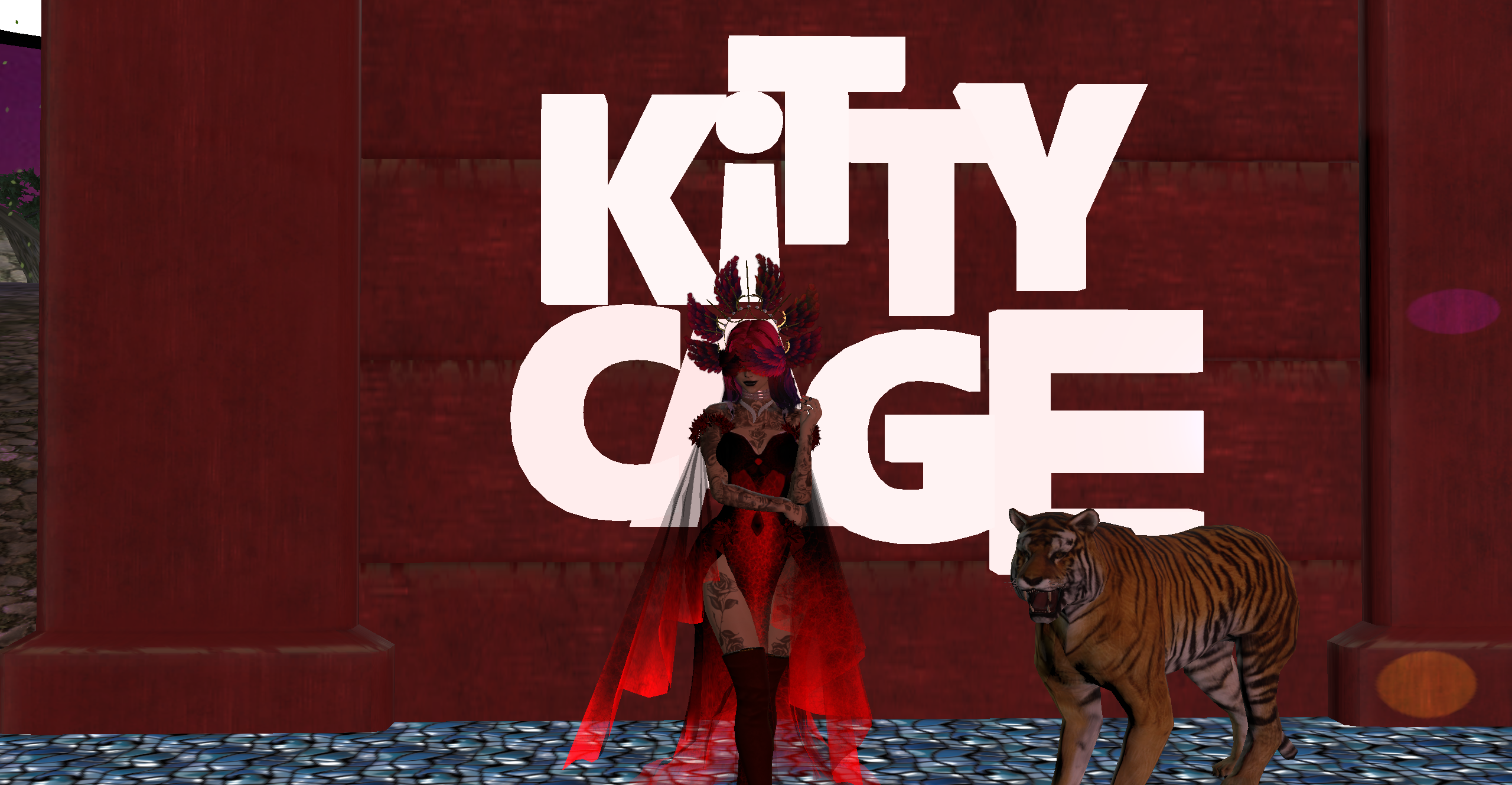 Kitty Cage