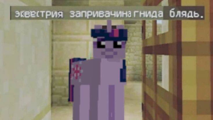 oioi