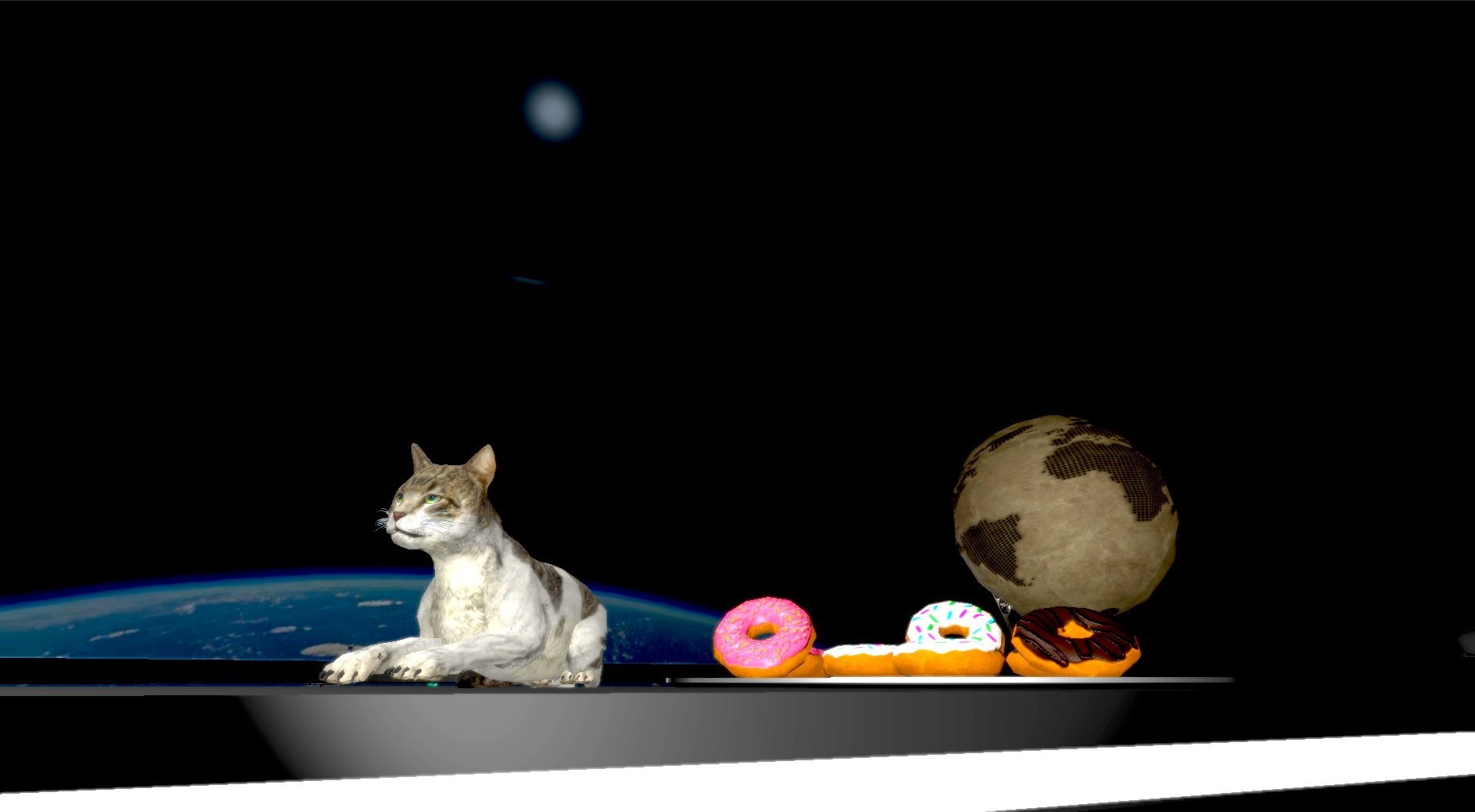 Kitty and Donuts