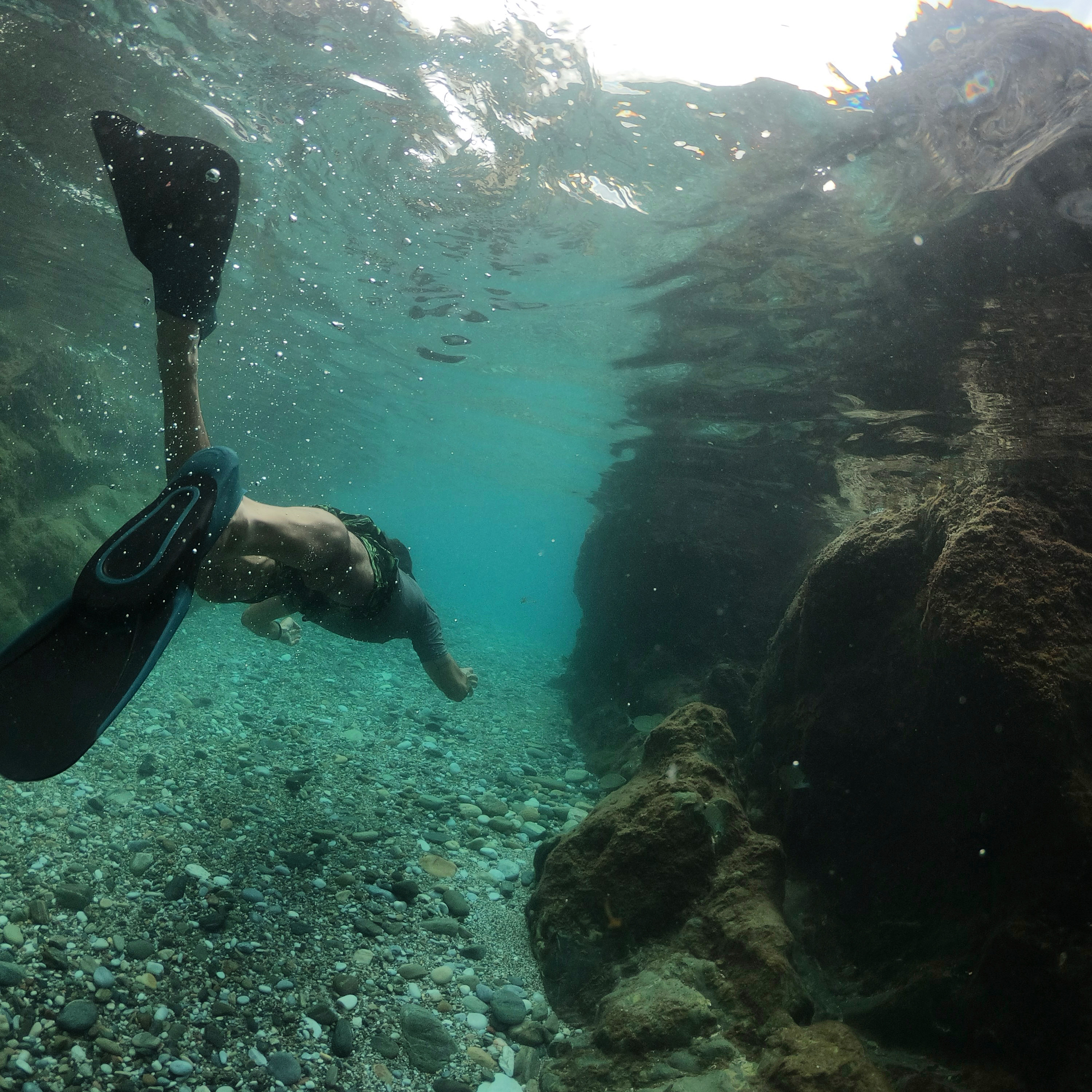 Snorkel