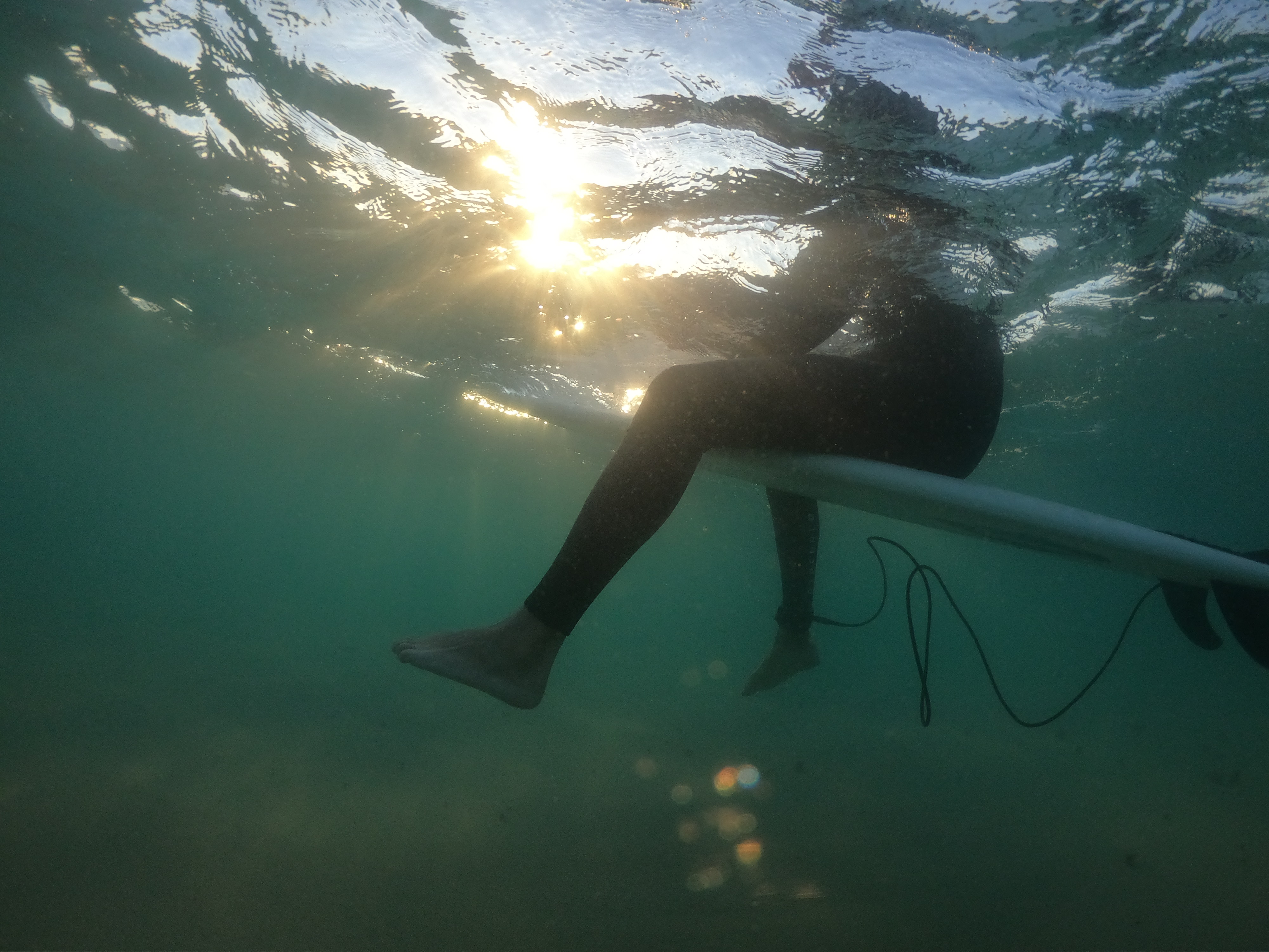 surf