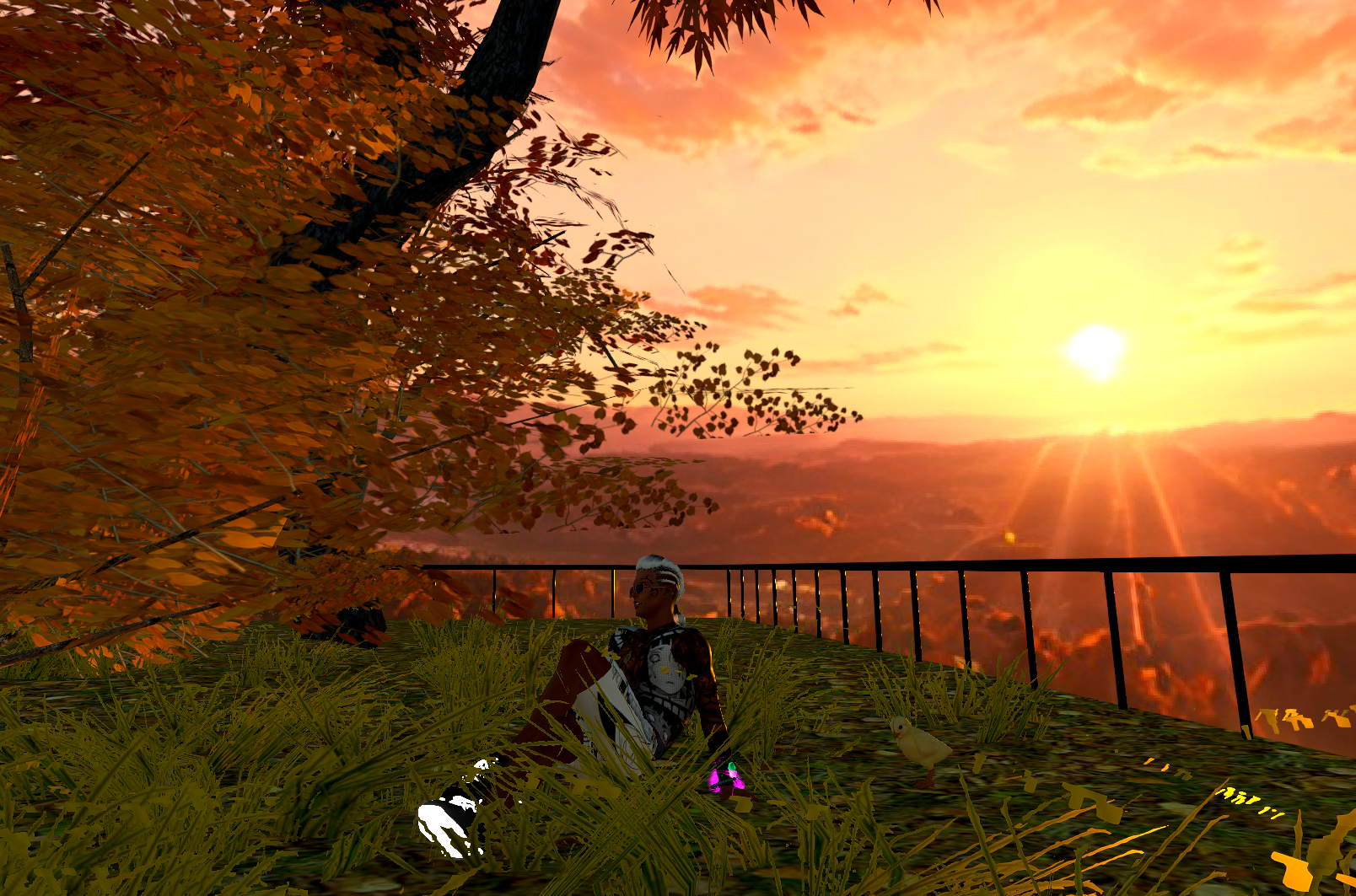 the sun night