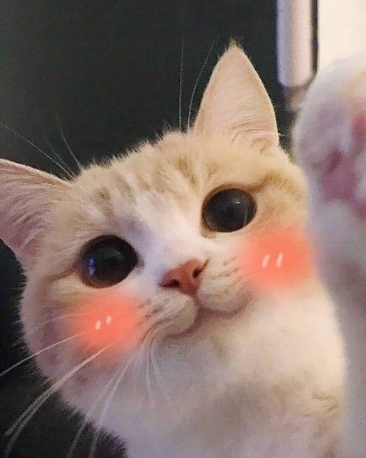 :)